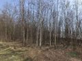 Działka inwestycyjna 1,07 ha, Bytom, Magdaleny - zdjęcie 4