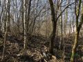 Działka inwestycyjna 1,07 ha, Bytom, Magdaleny - zdjęcie 5