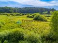 Działka rolna Rekowo Bytowskie 2500 m2 - zdjęcie 5