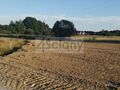 Działka budowlana 1700&nbsp;m², Żelechów - zdjęcie 1