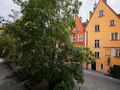 Mieszkanie 85 m², Wrocław, Śródmieście, Rynek-Ratusz - zdjęcie 5