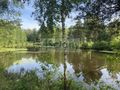 Działka budowlana 2,18 ha, Janinów - zdjęcie 4