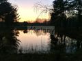 Działka budowlana 2,18 ha, Janinów - zdjęcie 6