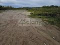 Działka budowlana 4,61 ha, Żółwin - zdjęcie 1