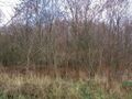 Działka inwestycyjna 6,05 ha, Wojkowice, Karłowicza - zdjęcie 3