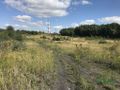 Działka inwestycyjna 24,88 ha, Wodzisław Śląski, Czarnieckiego - zdjęcie 1