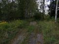Działka inwestycyjna 2,02&nbsp;ha, Mszana, Wodzisławska - zdjęcie 5