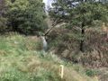 Działka inwestycyjna 2,86 ha, Świerklany, Świerklańska - zdjęcie 2