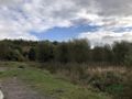 Działka inwestycyjna 2,86 ha, Świerklany, Świerklańska - zdjęcie 6
