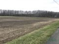 Działka inwestycyjna 1,43 ha, Rybnik, Zwycięstwa - zdjęcie 3