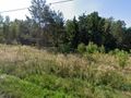 Działka inwestycyjna 18,97 ha, Świerklany, rejon Rybnickiej i Podkościele - zdjęcie 3