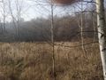 Działka inwestycyjna 4081 m², Rybnik, Bolesława Śmiałego - zdjęcie 2