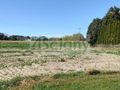 Działka rolna 1,09&nbsp;ha, Bieniewo-Parcela - zdjęcie 3