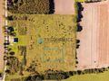 Kierzkowo działka 3000 m2 - gm. Choczewo - zdjęcie 2