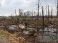 Działka inwestycyjna 7,84&nbsp;ha, Goczałkowice-Zdrój, Stawowa - zdjęcie 2