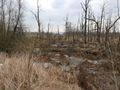 Działka inwestycyjna 7,84&nbsp;ha, Goczałkowice-Zdrój, Stawowa - zdjęcie 3