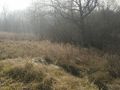Działka inwestycyjna 6576 m², Rybnik, Bolesława Śmiałego - zdjęcie 3