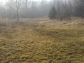 Działka inwestycyjna 6576 m², Rybnik, Bolesława Śmiałego - zdjęcie 5