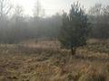 Działka inwestycyjna 6576 m², Rybnik, Bolesława Śmiałego - zdjęcie 6