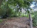 Działka inwestycyjna 4546&nbsp;m², Sosnowiec, Obwodowa - zdjęcie 3