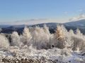 Działka budowlana 3,57&nbsp;ha, Stryszawa - zdjęcie 1
