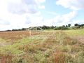 Działka rolna 1699 m², Dębice - zdjęcie 3