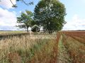 Działka rolna 1699 m², Dębice - zdjęcie 6