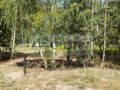 Działka budowlana 1500&nbsp;m², Błonie - zdjęcie 1