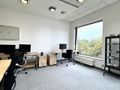 Lokal usługowy na sprzedaż, 250 m², Wrocław, Stare Miasto, Tęczowa - zdjęcie 6