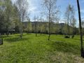 Działka budowlana 3753 m², Nowa Wieś - zdjęcie 4