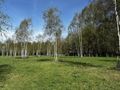 Działka rekreacyjna 1991 m², Nowa Wieś - zdjęcie 1