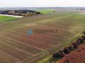 Piękna działka koło rzeki Szkarpawa - zdjęcie 5