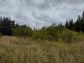 Działka inwestycyjna 1,56&nbsp;ha, Mysłowice, Aleja Spacerowa i  Zacisze - zdjęcie 5