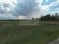 Działka inwestycyjna 1,25 ha, Sokołów - zdjęcie 1