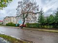 Mieszkanie 2 pokojowe w Kościerzynie! - zdjęcie 4