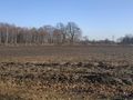 Działka inwestycyjna 3,52&nbsp;ha, Suszec, Szkolna - zdjęcie 2