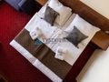Dochodowy hotel z pełnym wyposażeniem w Rumi. - zdjęcie 5