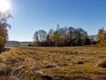 Działka budowlana 5150 m², Stare Krasnodęby - zdjęcie 3