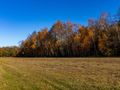 Działka budowlana 5150 m², Stare Krasnodęby - zdjęcie 2