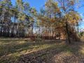 Działka budowlana 4000 m², Marynin - zdjęcie 5