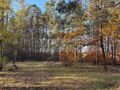 Działka budowlana 4000 m², Marynin - zdjęcie 3