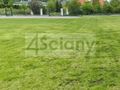 Działka budowlana 1500&nbsp;m², Grodzisk Mazowiecki - zdjęcie 3