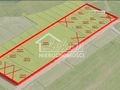 Działka budowlana 1000&nbsp;m², Rekowo - zdjęcie 4
