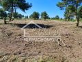 Działka budowlana 1,66&nbsp;ha, Miłowo - zdjęcie 3