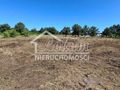 Działka budowlana 1,66&nbsp;ha, Miłowo - zdjęcie 6