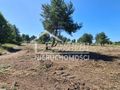 Działka budowlana 1,66&nbsp;ha, Miłowo - zdjęcie 5