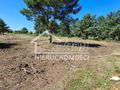Działka budowlana 1,66&nbsp;ha, Miłowo - zdjęcie 4