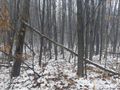 Działka inwestycyjna 1,36 ha, Mysłowice, Konopnickiej - zdjęcie 6