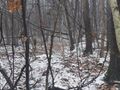 Działka inwestycyjna 1,36 ha, Mysłowice, Konopnickiej - zdjęcie 5