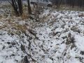 Działka inwestycyjna 1,36 ha, Mysłowice, Konopnickiej - zdjęcie 4